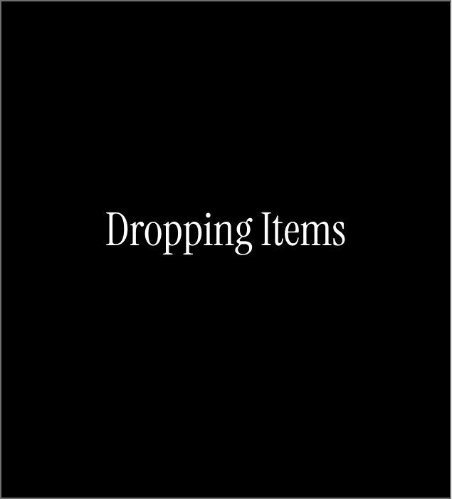Dropping Items
