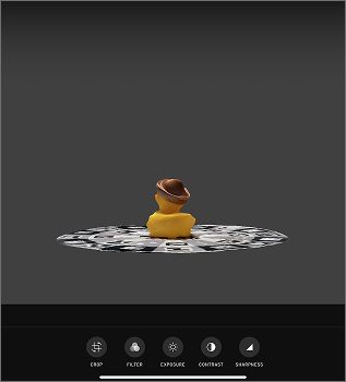 duck with the printed template